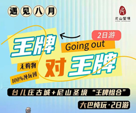 王牌对王牌